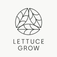 Lettuce grow
