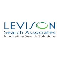 Levison search associates