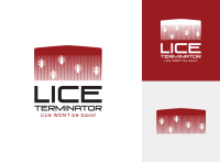 Lice expert
