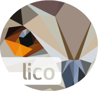 Lico innovations