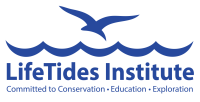Lifetides institute