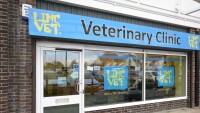 Lincvet