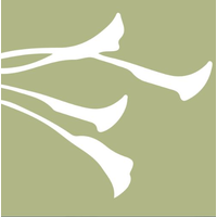 Lindy thomas interiors