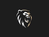Lion taming