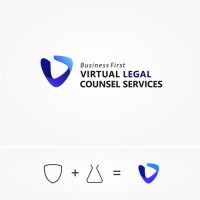 Litigation video services