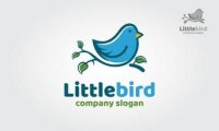Littlebyrd consulting