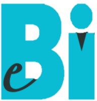 e-BI Solutions