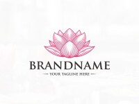 Lotus blooms