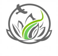 Lotus ranch in wimberley, texas