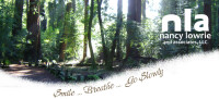 Nancy lowrie & associates llc