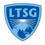 Long term strategy group, llc