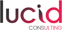 Lucid consulting services