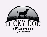 Lucky dog farm store