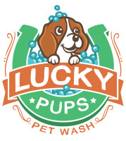 Lucky pup dog rescue com
