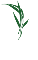 Luxescapes, llc