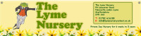 Lyme nursery school