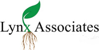 Lynx associates inc
