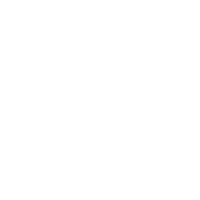 Lyon engineering