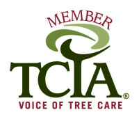 Maguire tree care