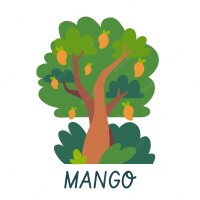 Mango tree group