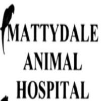 Mattydale animal hospital