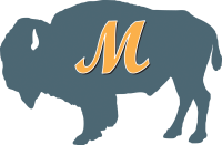 Mattys sports inc