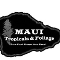 Maui tropicals & foliage