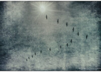 Seth mayer photography