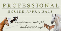 Mccarron equine appraisals