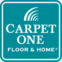 Mcintyre mann carpet
