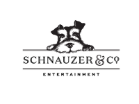 Schnauzer construction inc