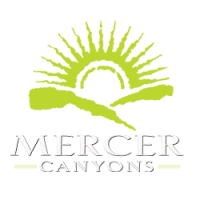 Mercer canyons inc.
