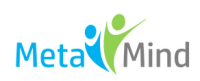 Metamind training