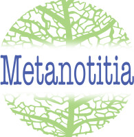 Metanotitia inc.