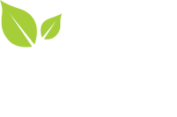 Ms analytical