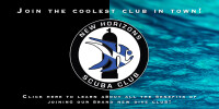 New Horizons Diving