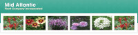 Mid atlantic plant co