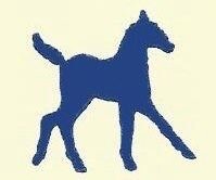 Mid state equine hospital
