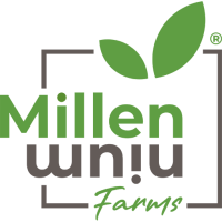 Millennium farm inc