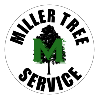 Miller tree