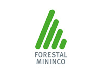 Forestal mininco s a