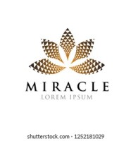 Miracle designs