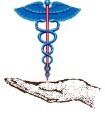 Mitchell l seitz md