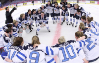 Minnesota ice hawks inc
