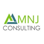 Mnj consulting inc