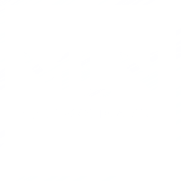 Molina & cia s.r.l