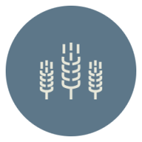 Monson farms