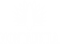 Montaukila