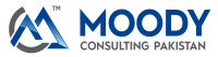 Moody consulting