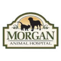 Morgan animal hospital inc